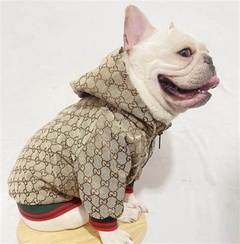 gucci clothes for dogs|designer dog apparel for humans.